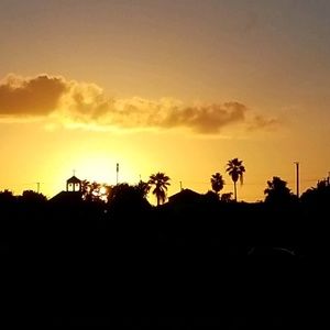 Meet your Posher, Rocio